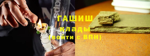 прущие грибы Гусиноозёрск