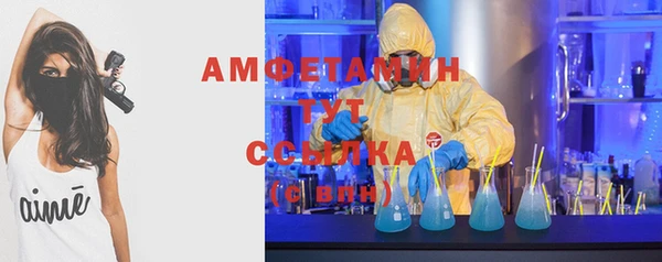 ГАЛЛЮЦИНОГЕННЫЕ ГРИБЫ Балахна